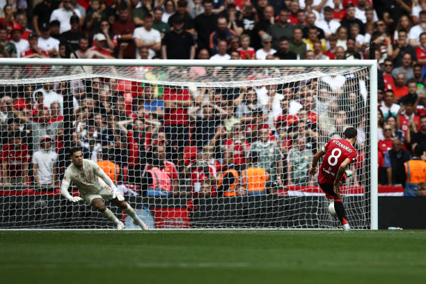 不仅展现了 不仅展现了